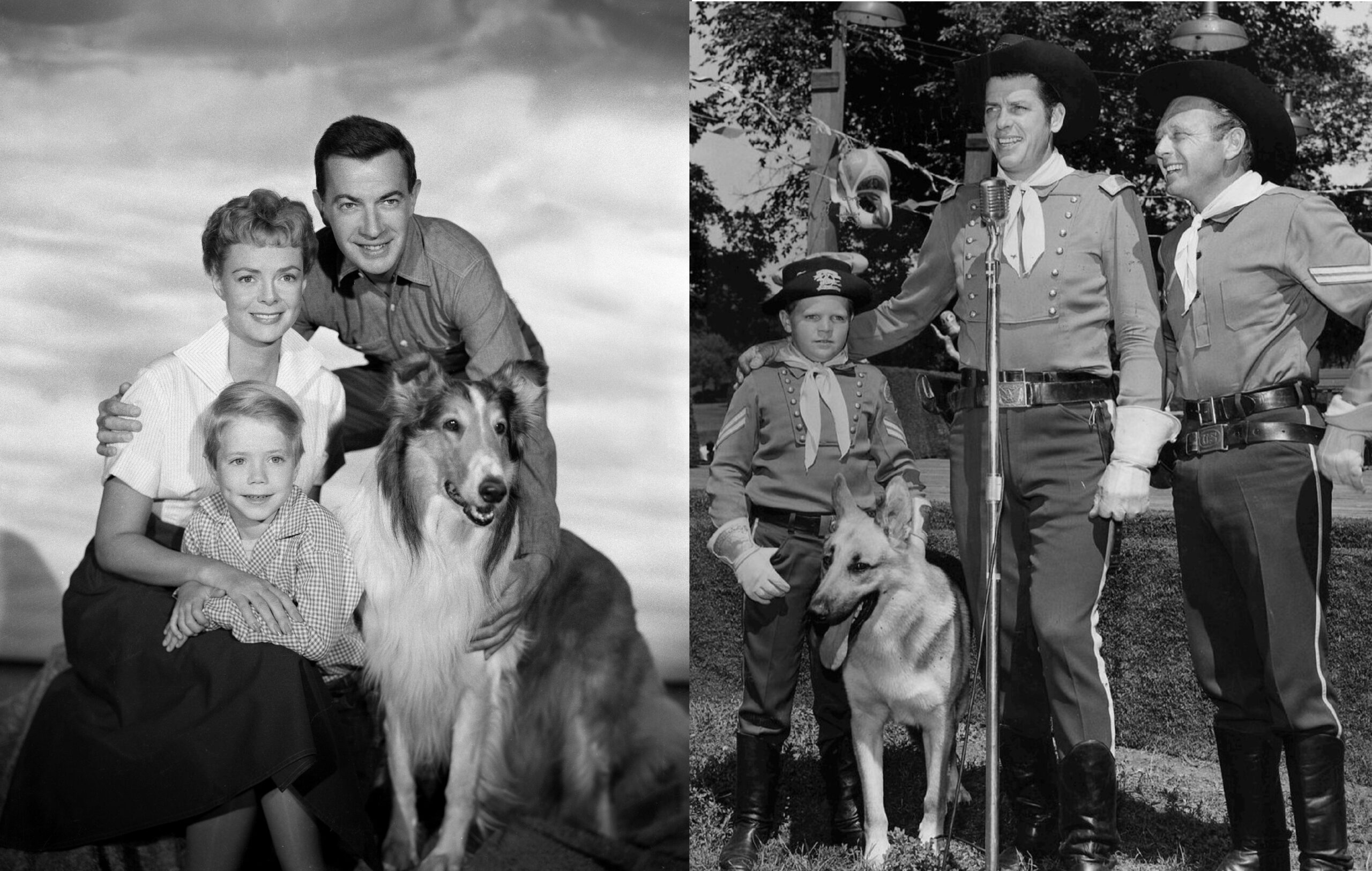 Lassie (TV Series 1954-1973) — The Movie Database (TMDB)
