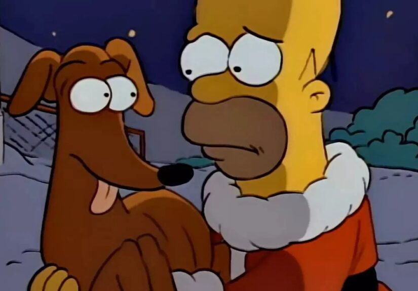 Homer meets a dog