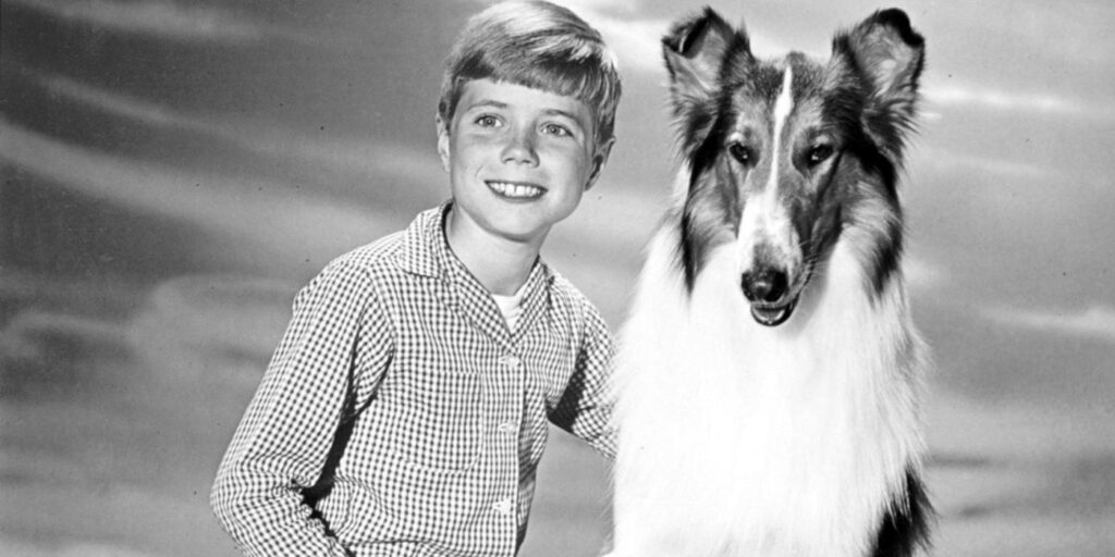 Timmy and Lassie