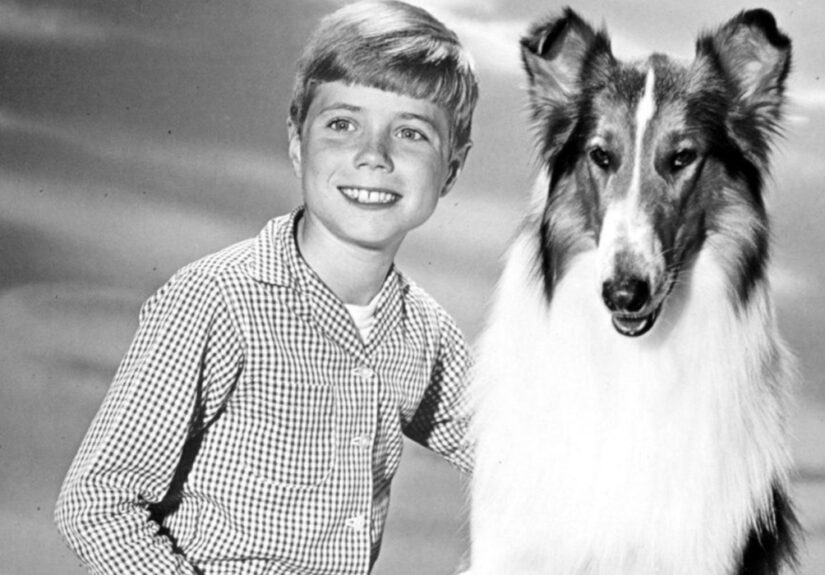 Timmy and Lassie